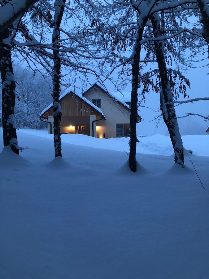 Loft Naturalpina Dolomiti Farm Belluno Exterior foto